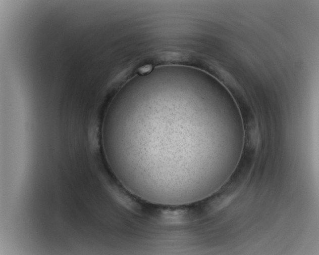 X0000115230450200911061130