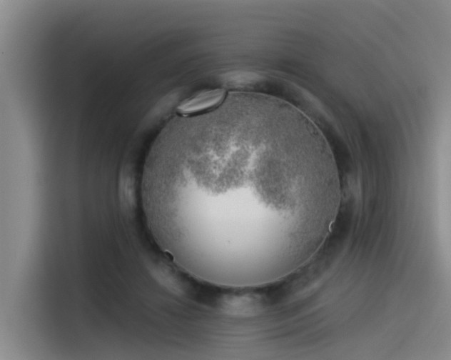 X0000115230452200911061131