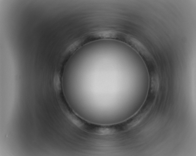 X0000115230453200911061131