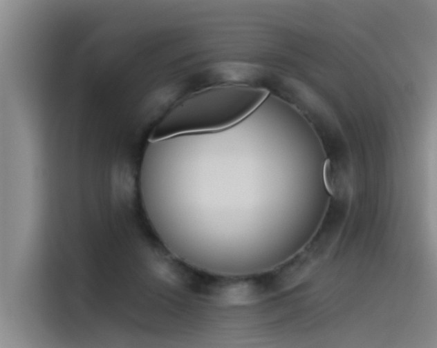 X0000115230456200911061131