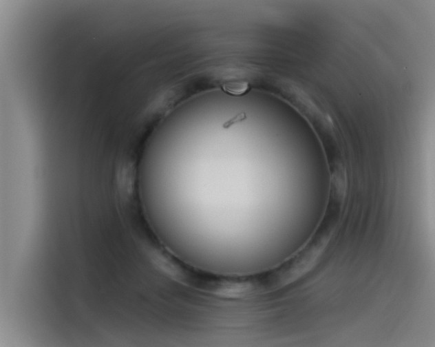 X0000115230458200911061131