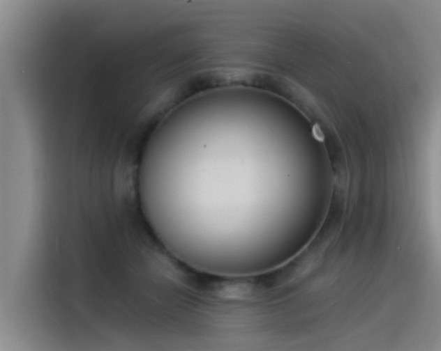 X0000115230462200911061131