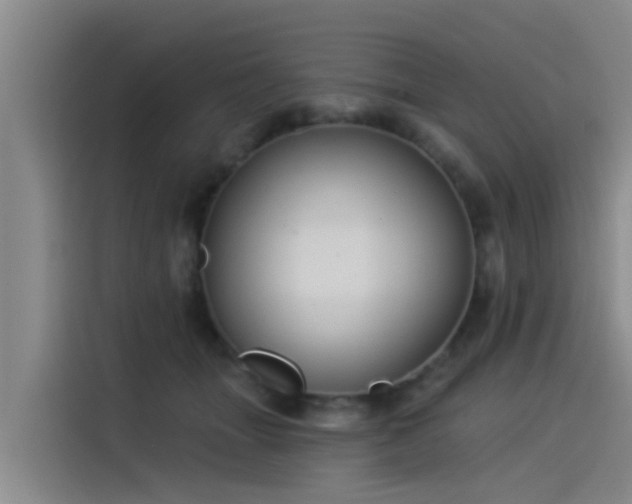 X0000115230463200911061131