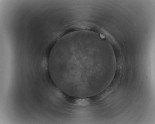 X0000115230465200911061131
