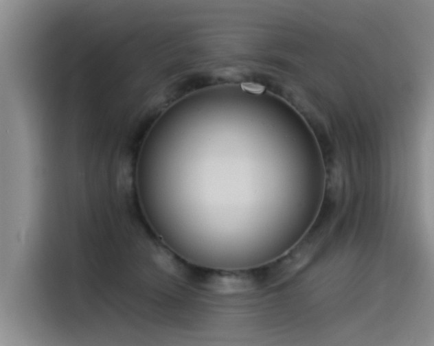 X0000115230466200911061131