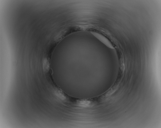 X0000115230471200911061131