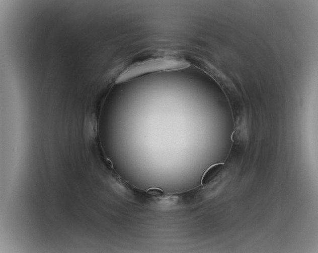 X0000115230474200911061131