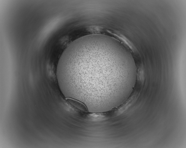 X0000115230477200911061131