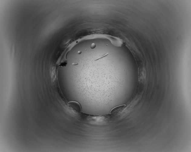X0000115230478200911061131