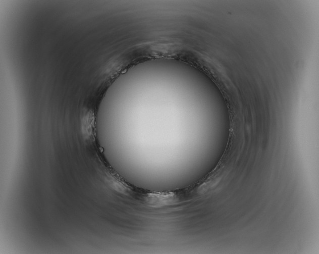 X0000115230480200911061131