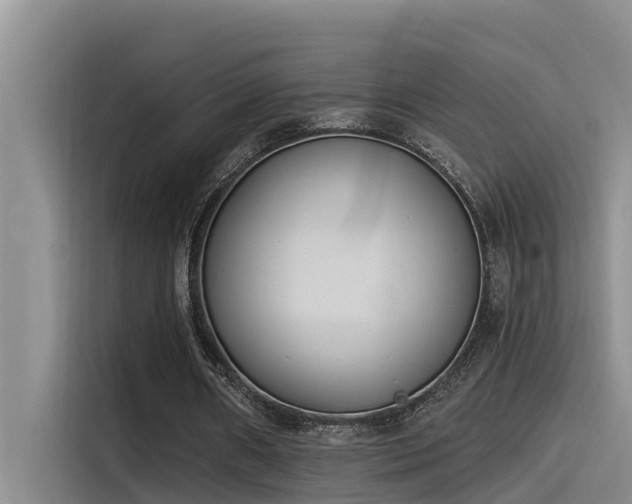 X0000115230482200911061130