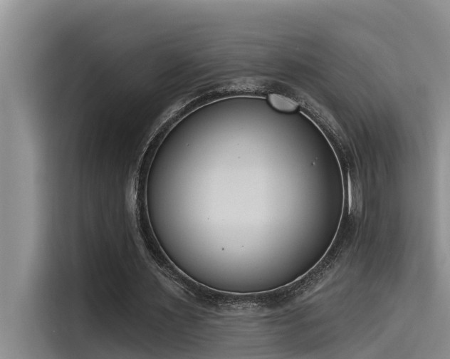 X0000115230483200911061130