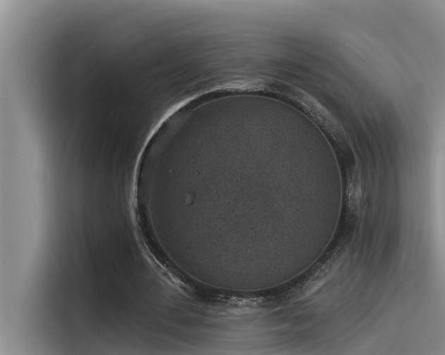 X0000115230484200911061130