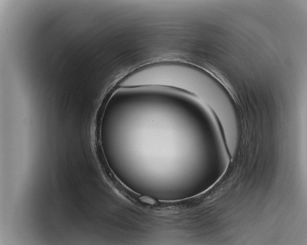 X0000115230485200911061130