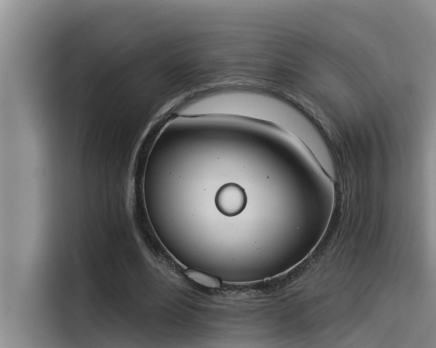 X0000115230488200911061130