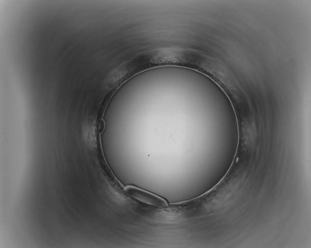 X0000115230489200911061130