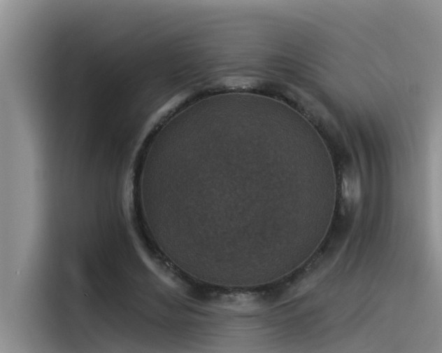 X0000115230492200911061130