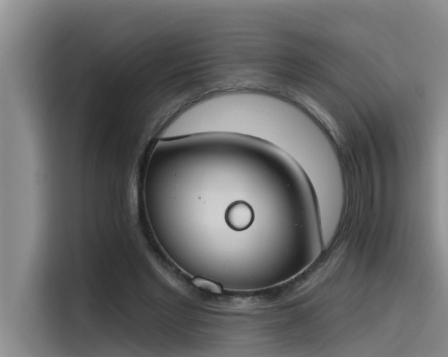 X0000115230493200911061130