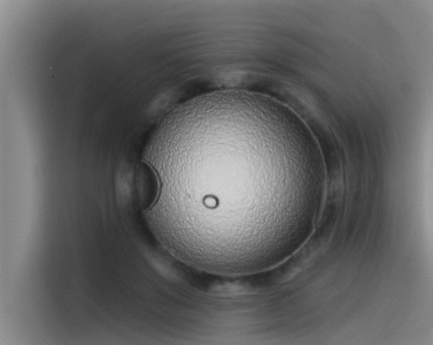 X0000115230503200911061130