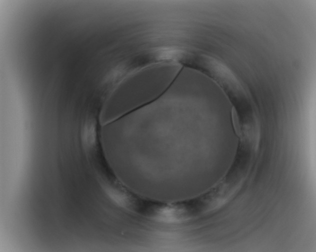 X0000115230504200911061130