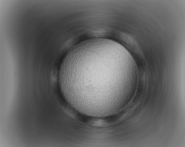 X0000115230507200911061130