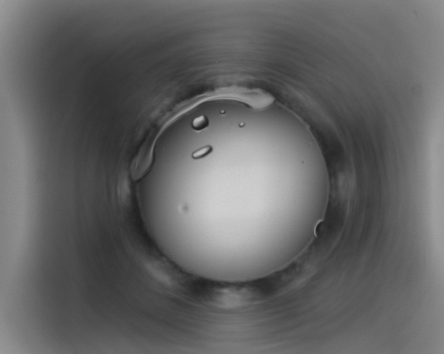 X0000115230508200911061130