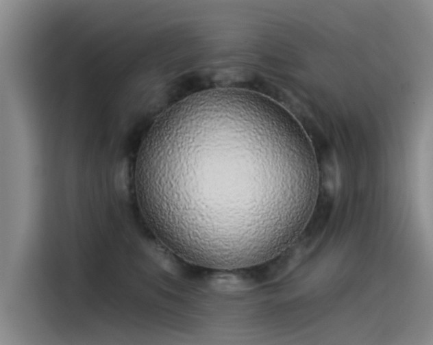 X0000115230519200911061130