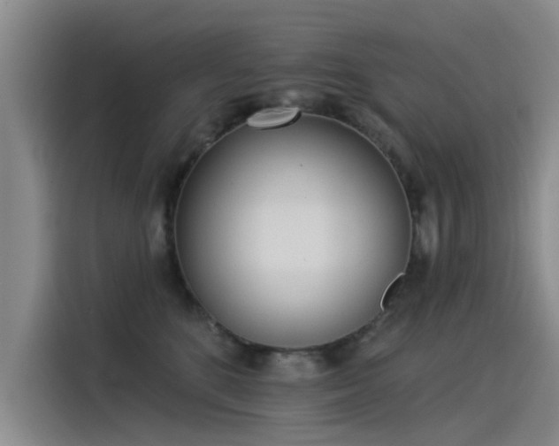 X0000115230520200911061130
