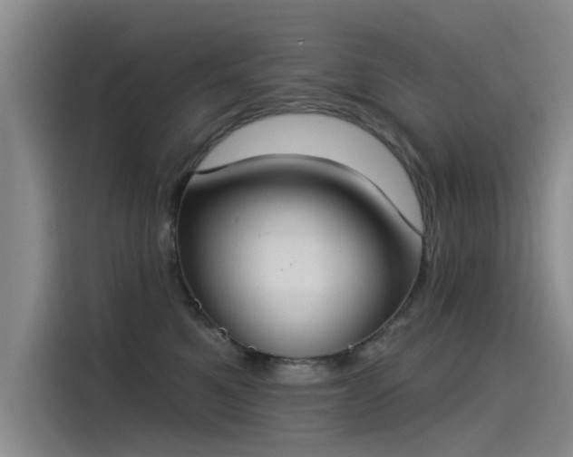 X0000115230521200911061130