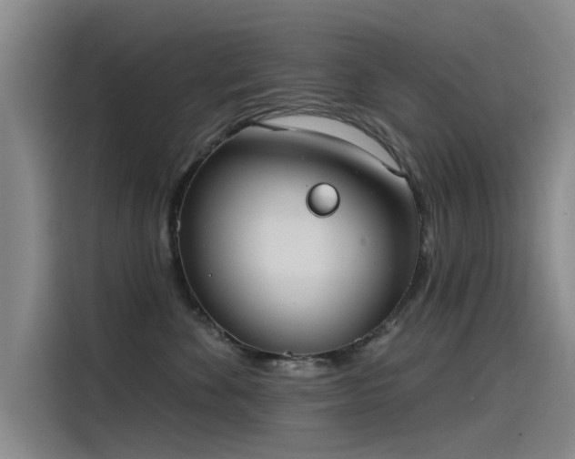 X0000115230524200911061130