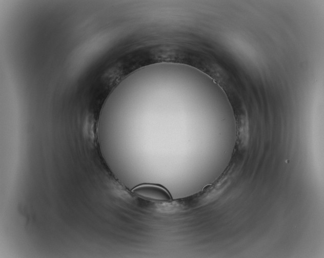 X0000115230525200911061130