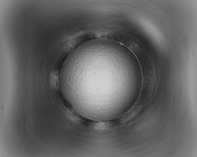 X0000115230527200911061130