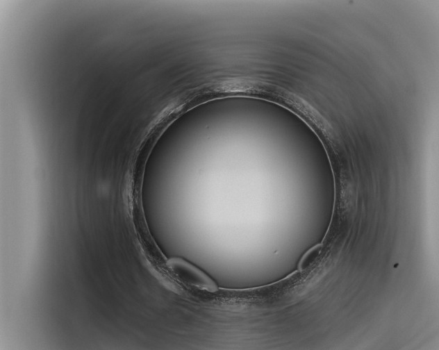 X0000115230530200911061129