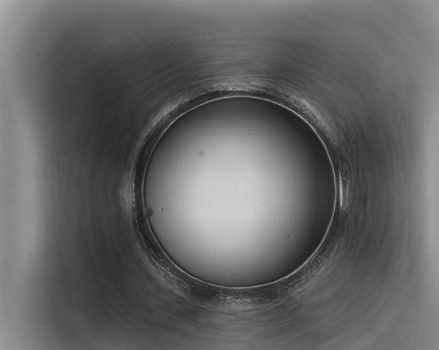 X0000115230531200911061129