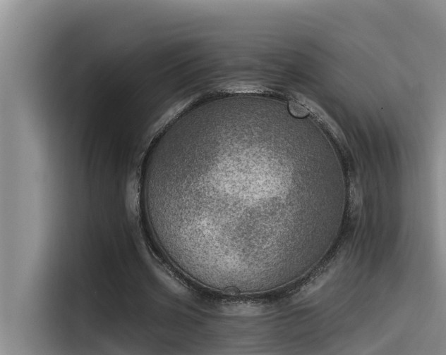X0000115230533200911061129
