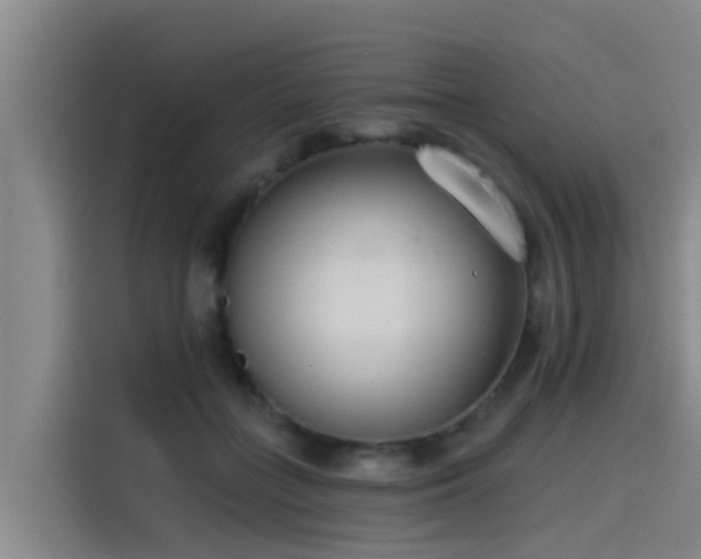 X0000115230555200911061129