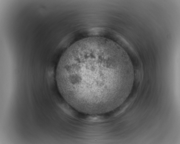 X0000115230557200911061129