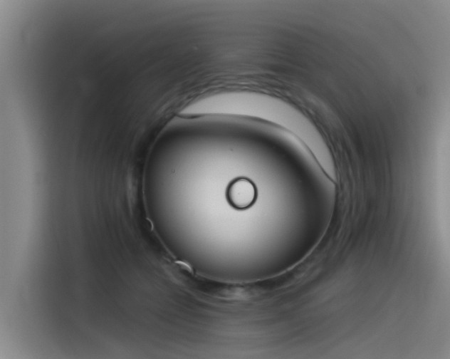 X0000115230558200911061129