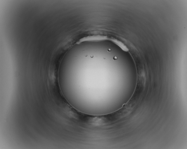 X0000115230566200911061129