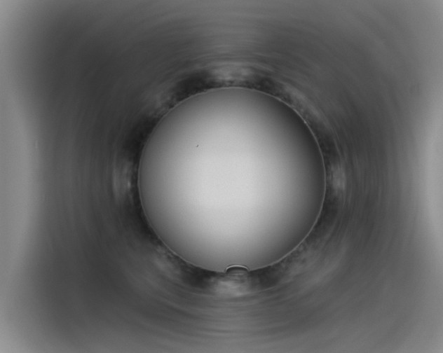 X0000115230567200911061129