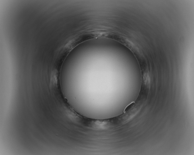 X0000115230570200911061130