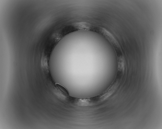 X0000115230573200911061130