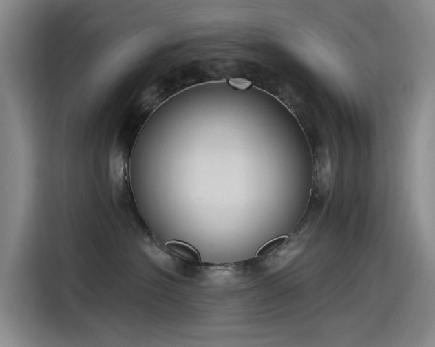 X0000115230574200911061130