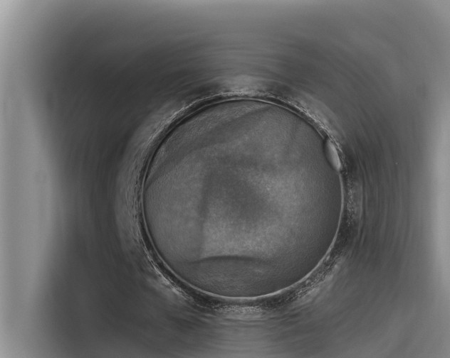 X0000115230577200911061129