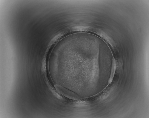 X0000115230581200911061129