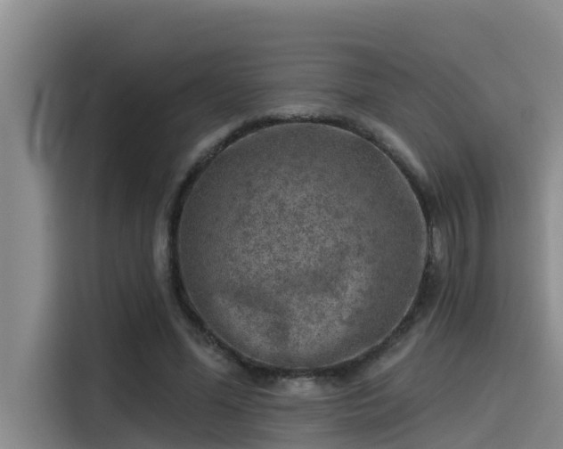 X0000115230588200911061129