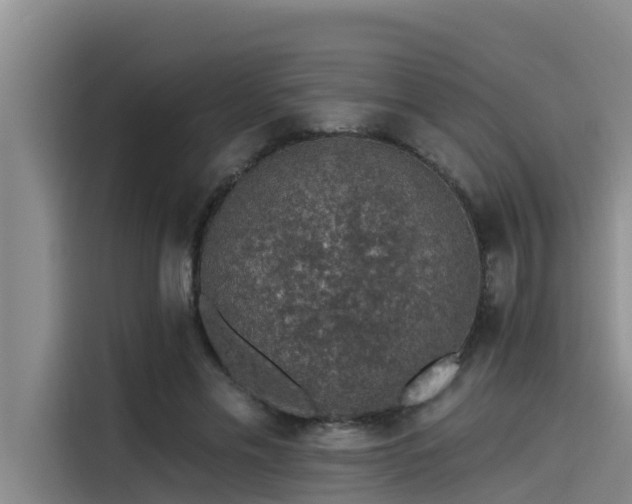X0000115230589200911061129