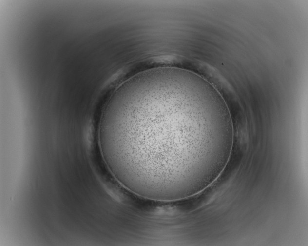 X0000115230591200911061129