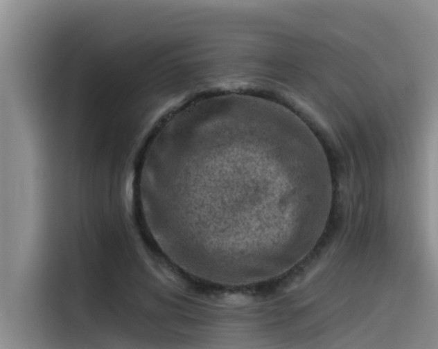 X0000115230592200911061129