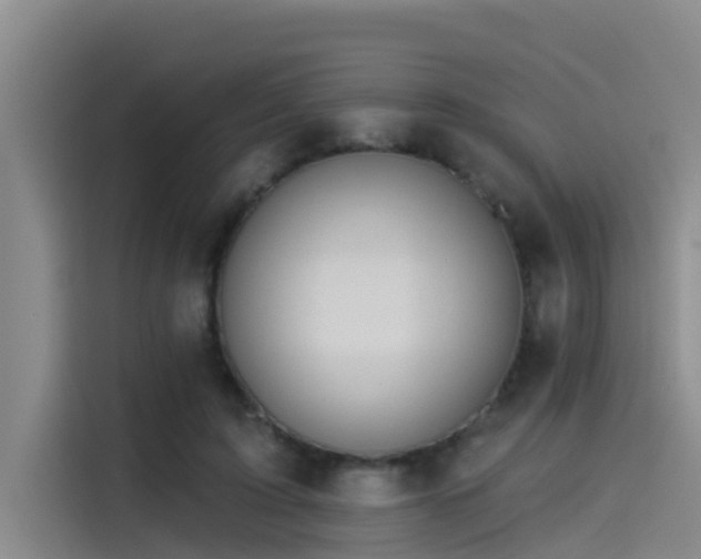 X0000115230595200911061129